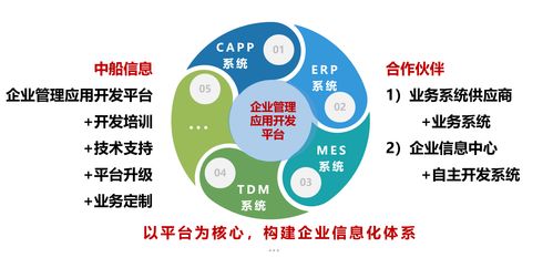 應用軟件服務 軟件產業發展的核心引擎
